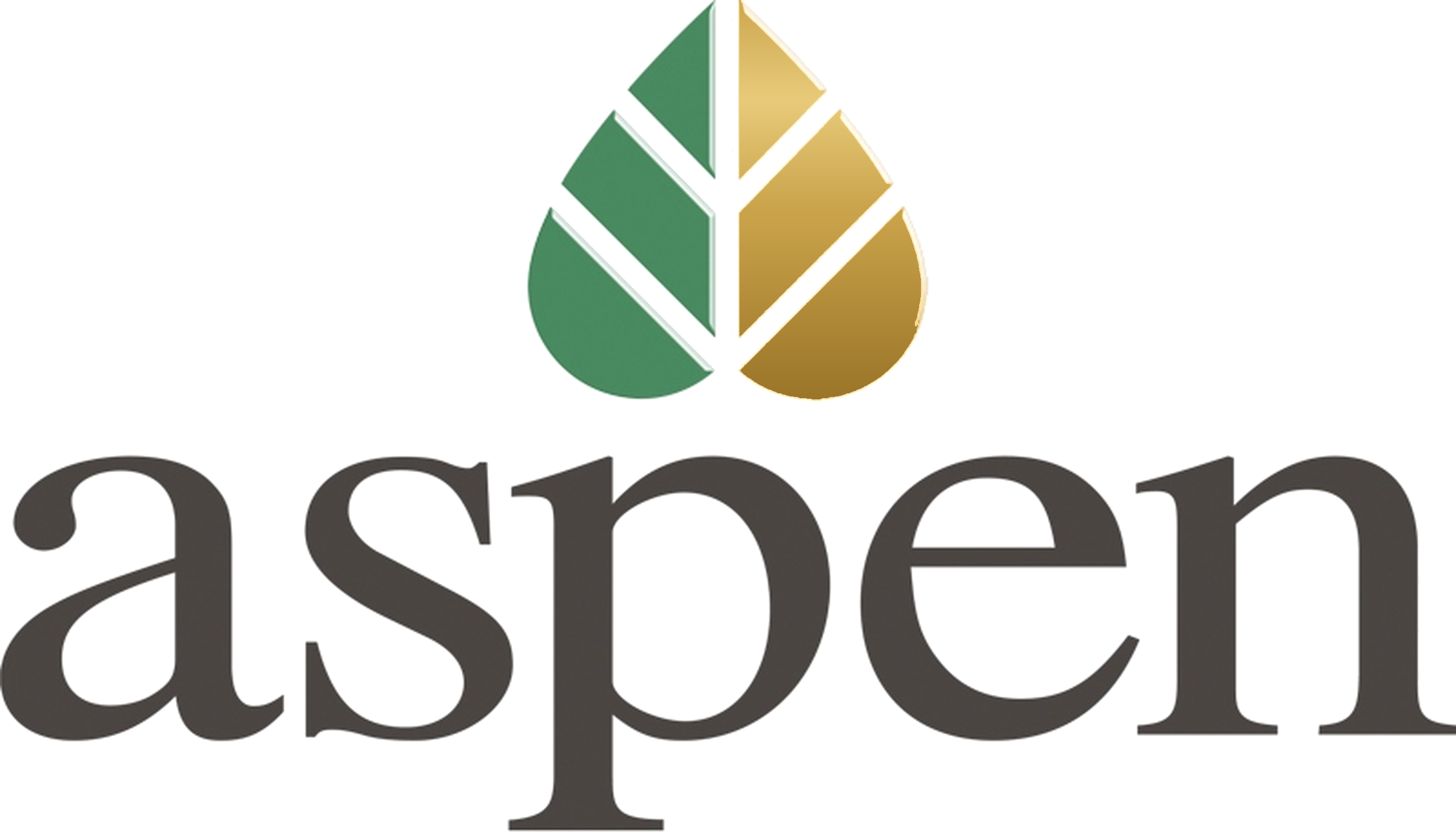 Aspen Services Group
